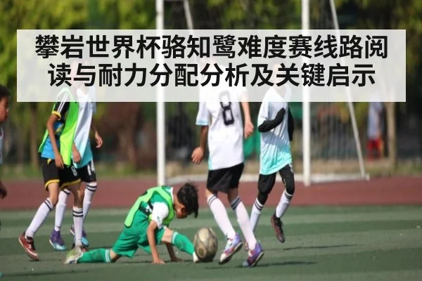 攀岩世界杯骆知鹭难度赛线路阅读与耐力分配分析及关键启示